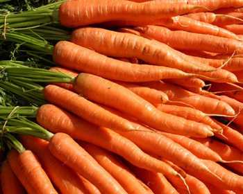 all vegetables name in english to hindi with pictures pdf