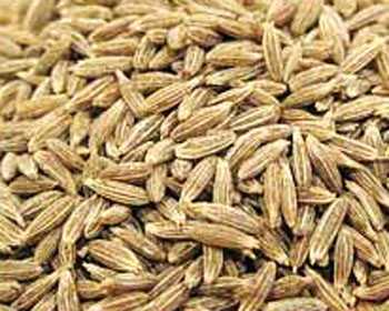 Cumin seed in malay