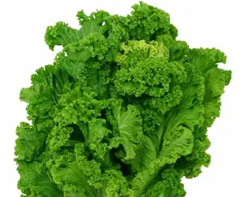 mustard greens in  taiwanese